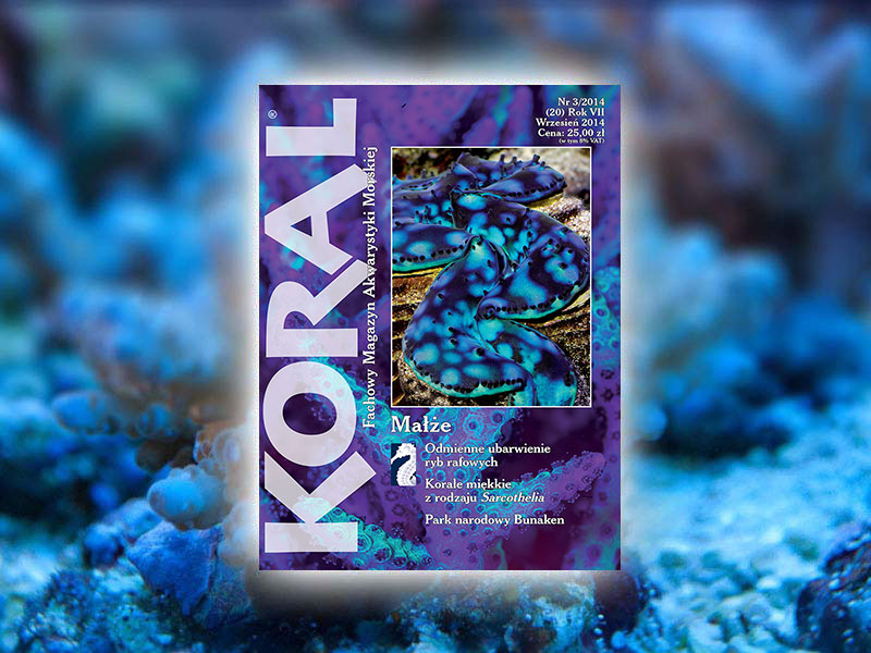 magazyn Koral 3-2014
