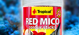 Pokarm Red Mico Colour Sticks