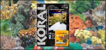 magazyn koral sera marin